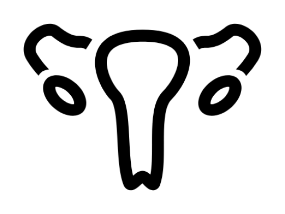 Ginecologista